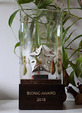International Bionic Award 2018  (Photo: VDI)