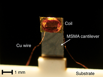 Thermo magnetic energy harvester