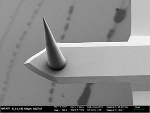 Tailored Probe Tips for Atomic Force Microscopes