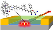 Microscopic components made of silicon (blue) and special polymers (green) convert electrical into optical signals and vice versa. (Graphics: KIT)