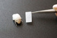 Nanostructured polymer film achieves white appearance without the use of environmentally harmful titanium oxide – white beetle Cyphochilus insulanus as a model (Photo: Julia Syurik, KIT).