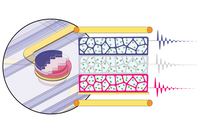 Compartmentalized biochemical reactions monitored by NMR spectroscopy. (Schematic: N. Nordin, IMT).