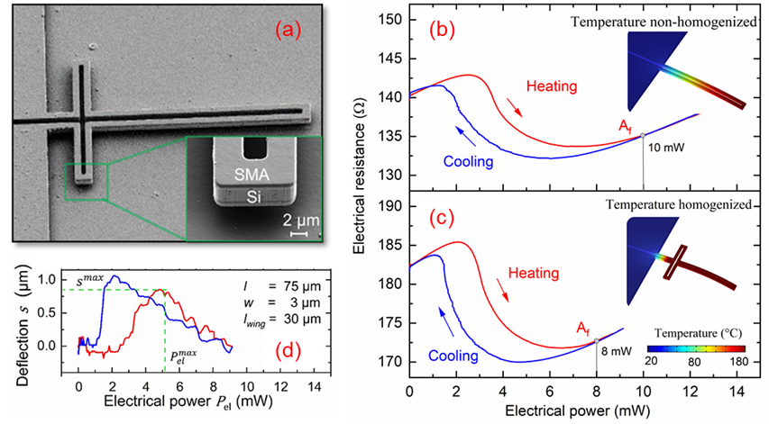 in-situ SEM image of a freestanding TiNiHf/Si microactuator 