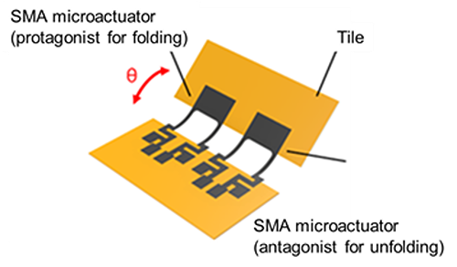 Single unit of an Origami-inspired SMA microactuator system consisting of an antagonistic pair of SMA microactuators for bi-directional folding and unfolding and two polymer tiles